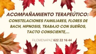 Llevo más de 30 años en un camino espiritual y de desarrollo personal. Gracias a mi experiencia de vida y a todas las herramientas que he incorporado me permito acompañarte en tu camino si así o deseas. Meditación, constelaciones, flores de bach, hipnosis, trabajo con sueños, tacto consciente, reflexología, arteterapia, CNV, cocina terapeútica,...