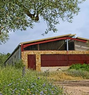 ecoNAU es un aula mediaombiental en un olivar ecológico 