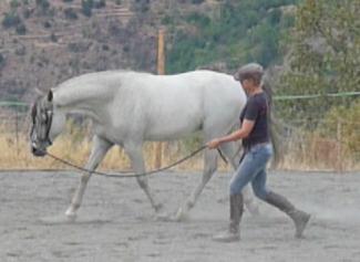 relaxed and focused with a correct posture