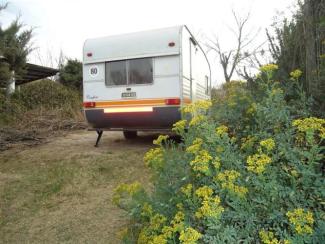 foto caravana vista exterior con flores