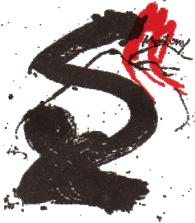 Logo CSM