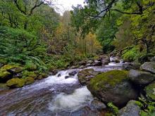 Y por lugares refrescantes