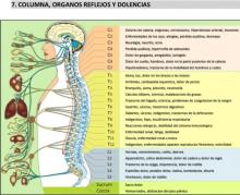 Dolencias