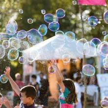 Bombolles al Festival d'estiu