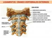 Trabajo de tejidos y ligamentos profundos 