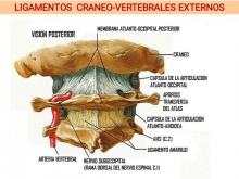 Tejidos profundos 