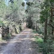 Con vistas al castillo de Borriol