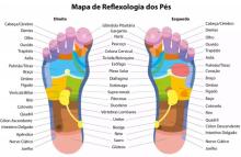 Mapa Reflexologia Podal